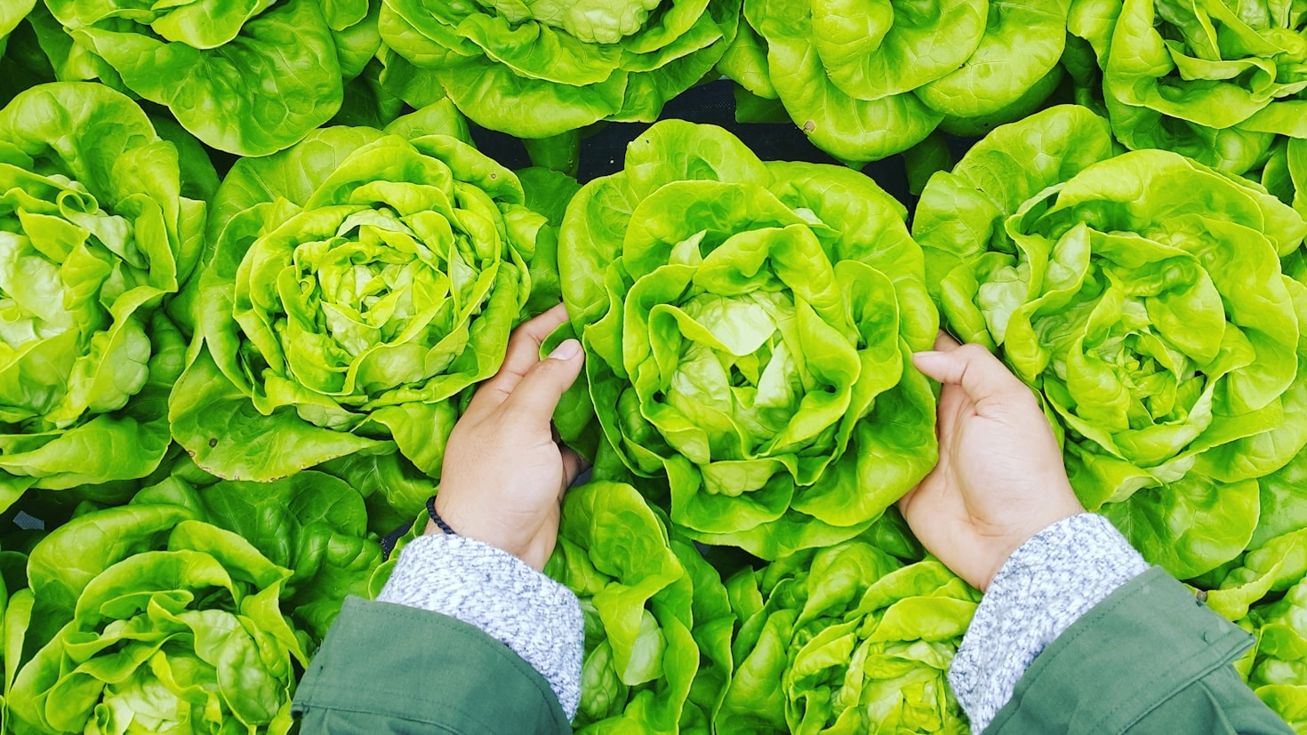 The Connection Between Public Health and Sustainable Practices